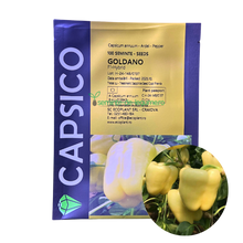 Încarcă imaginea în vizualizatorul Galerie, Ardei Goldano F1 100 seminte