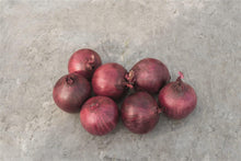 Încarcă imaginea în vizualizatorul Galerie, Ceapa rosie Robin 10.000 seminte - Bejo - seminte-de-legume.ro