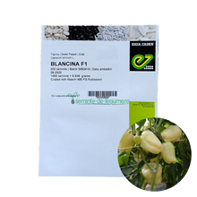 Încarcă imaginea în vizualizatorul Galerie, Ardei gras Blancina F1 500 seminte - Enza Zaden - seminte-de-legume.ro