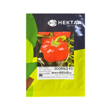 Încarcă imaginea în vizualizatorul Galerie, Ardei gogosar Scorilo F1 100 seminte - Hektar - seminte-de-legume.ro