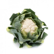 Încarcă imaginea în vizualizatorul Galerie, Conopida Arienzo RZ F1 1000 seminte - Rijk Zwaan - seminte-de-legume.ro