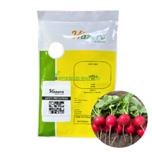 Încarcă imaginea în vizualizatorul Galerie, Ridichi Laurella F1 10000 seminte - Hazera - seminte-de-legume.ro