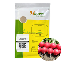 Încarcă imaginea în vizualizatorul Galerie, Ridichi Melito F1 10000 seminte - Hazera - seminte-de-legume.ro