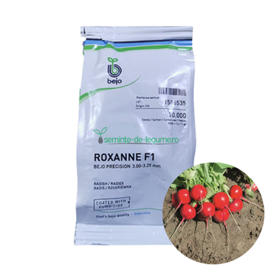 Ridichi Roxanne F1 10000 seminte - Bejo - seminte-de-legume.ro