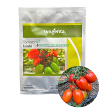 Încarcă imaginea în vizualizatorul Galerie, Tomate Isiaki F1 500 seminte - Syngenta - seminte-de-legume.ro