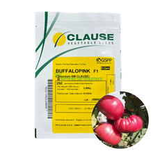Încarcă imaginea în vizualizatorul Galerie, Tomate Buffalopink F1 250 seminte - Clause - seminte-de-legume.ro