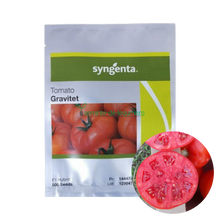 Încarcă imaginea în vizualizatorul Galerie, Tomate Gravitet F1 500 seminte - Syngenta - seminte-de-legume.ro