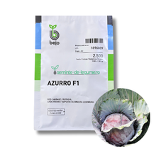 Încarcă imaginea în vizualizatorul Galerie, Varza Rosie Azurro F1 2500 seminte - Bejo - seminte-de-legume.ro