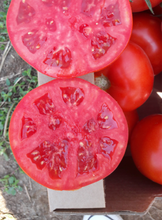Încarcă imaginea în vizualizatorul Galerie, Tomate Gravitet F1 500 seminte - Syngenta - seminte-de-legume.ro