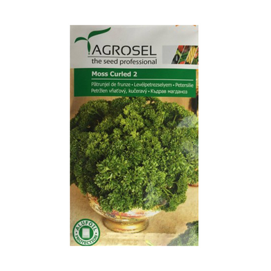 Patrunjel de frunze Moss Curled 5 gr - Agrosel - seminte-de-legume.ro