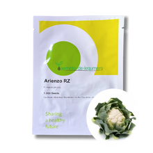 Încarcă imaginea în vizualizatorul Galerie, Conopida Arienzo RZ F1 1000 seminte - Rijk Zwaan - seminte-de-legume.ro
