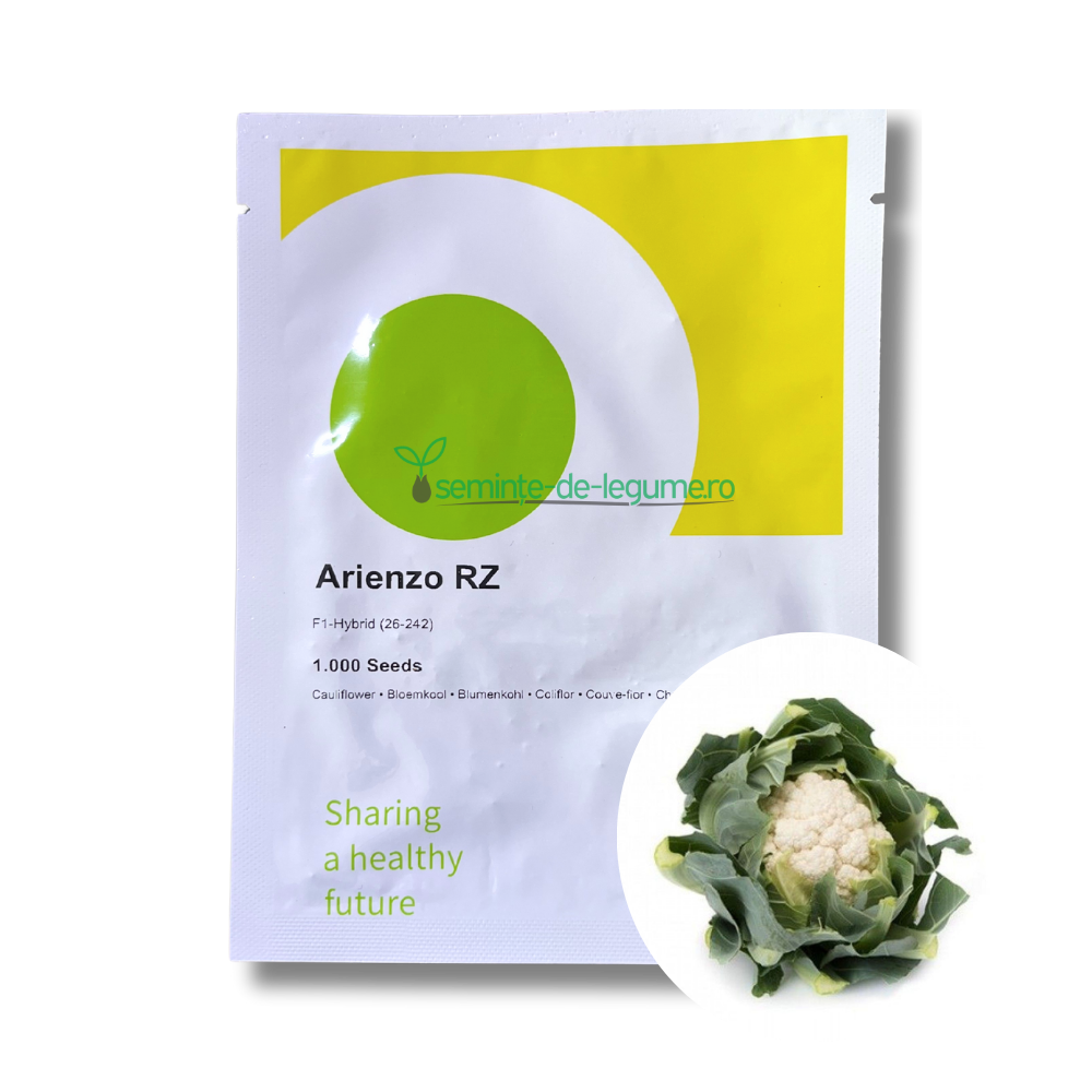 Conopida Arienzo RZ F1 1000 seminte - Rijk Zwaan - seminte-de-legume.ro