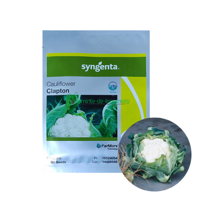 Conopida Clapton F1 2500 seminte - Syngenta - seminte-de-legume.ro