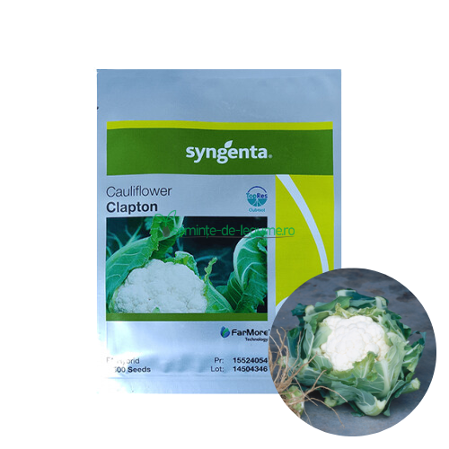 Conopida Clapton F1 2500 seminte - Syngenta - seminte-de-legume.ro