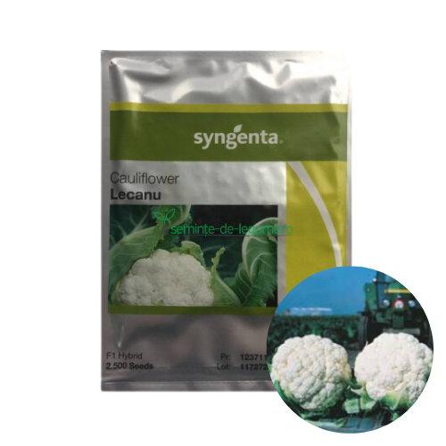 Conopida Lecanu F1 2500 seminte - Syngenta - seminte-de-legume.ro