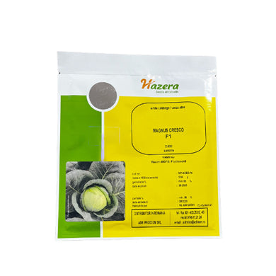 Varza Magnus Cresco F1 2500 seminte - seminte-de-legume.ro - seminte-de-legume.ro