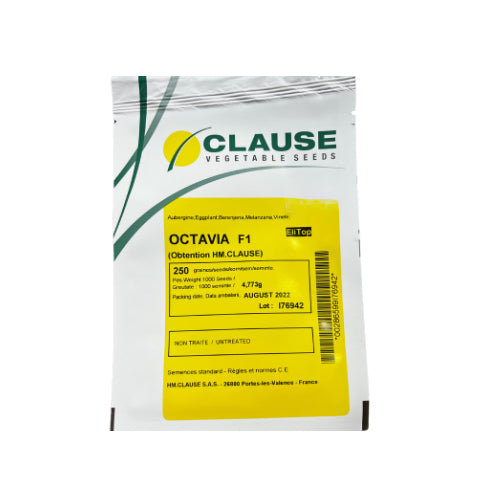 Vinete Octavia F1 250 seminte - Clause - seminte-de-legume.ro