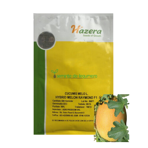 Pepene galben Raymond F1 500 seminte - Hazera - seminte-de-legume.ro