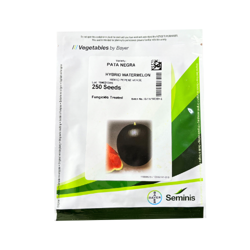 Pepene verde Pata Neagra F1 250 seminte