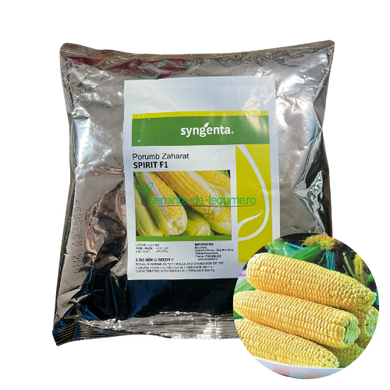 Porumb zaharat Spirit F1 2500 seminte - Syngenta - seminte-de-legume.ro