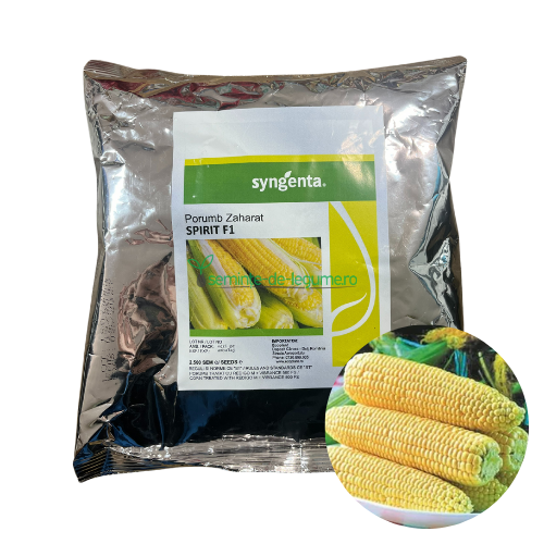 Porumb zaharat Spirit F1 2500 seminte - Syngenta - seminte-de-legume.ro