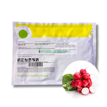 Încarcă imaginea în vizualizatorul Galerie, Ridichi Belsay RZ F1 25000 seminte - Rijk Zwaan - seminte-de-legume.ro
