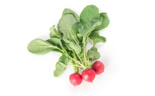 Încarcă imaginea în vizualizatorul Galerie, Ridichi Belsay RZ F1 25000 seminte - Rijk Zwaan - seminte-de-legume.ro
