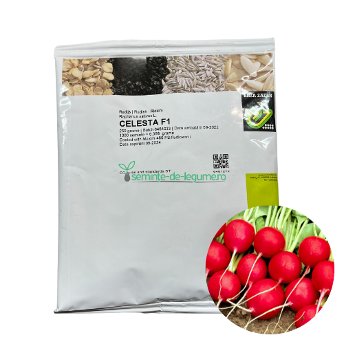 Ridichi Celesta F1 250 gr - Enza Zaden - seminte-de-legume.ro