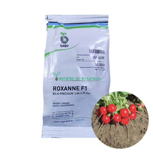 Ridichi Roxanne F1 10000 seminte - Bejo - seminte-de-legume.ro