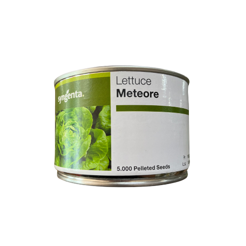 Salata Meteore drajata F1 5000 seminte