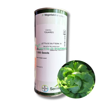 Salata Touareg drajata F1 1000 seminte - Seminis - seminte-de-legume.ro