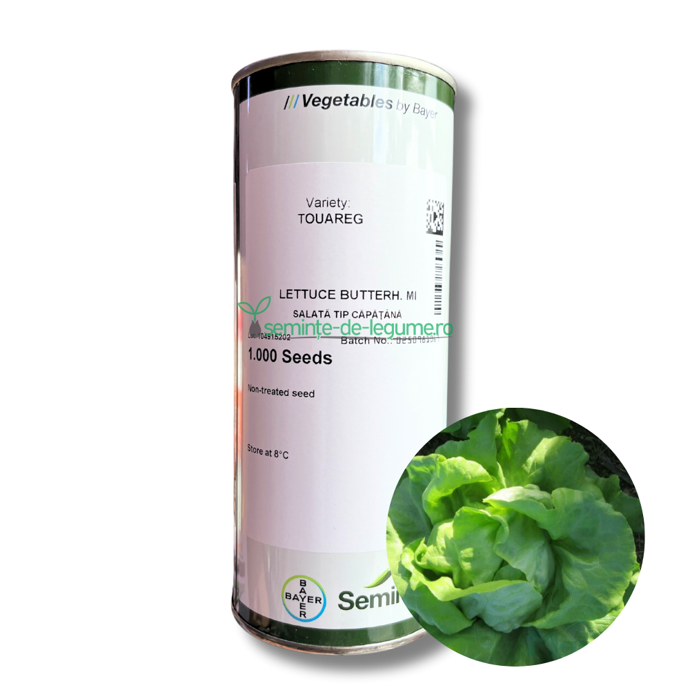 Salata Touareg drajata F1 1000 seminte - Seminis - seminte-de-legume.ro