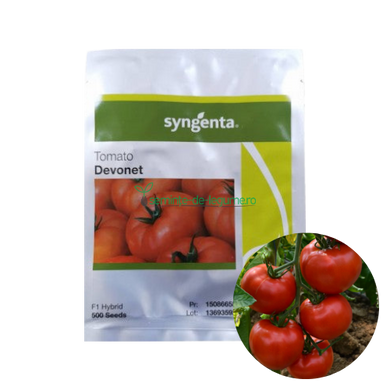 Tomate Devonet F1 500 seminte - Syngenta - seminte-de-legume.ro