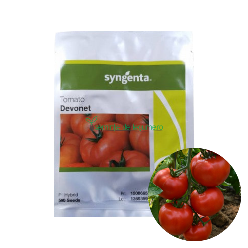 Tomate Devonet F1 500 seminte - Syngenta - seminte-de-legume.ro