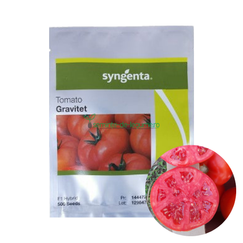 Tomate Gravitet F1 500 seminte - Syngenta - seminte-de-legume.ro