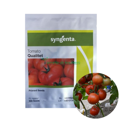 Tomate Qualitet F1 500 seminte - Syngenta - seminte-de-legume.ro