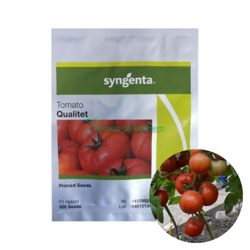 Tomate Qualitet F1 500 seminte - Syngenta - seminte-de-legume.ro