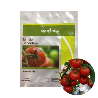 Tomate Sandoline F1 500 seminte - Syngenta - seminte-de-legume.ro