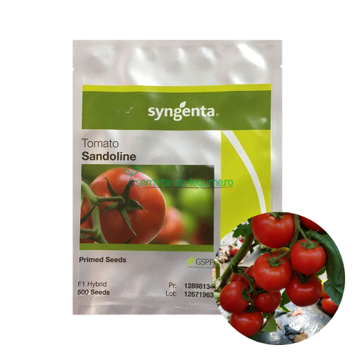 Tomate Sandoline F1 500 seminte - Syngenta - seminte-de-legume.ro