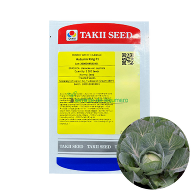 Varza Autumn King F1 2500 seminte - Takii Seed - seminte-de-legume.ro