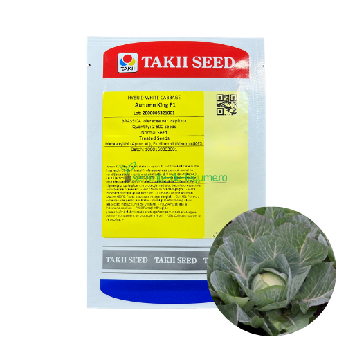 Varza Autumn King F1 2500 seminte - Takii Seed - seminte-de-legume.ro