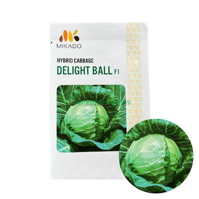 Varza Delight Ball F1 5 gr - Mikado - seminte-de-legume.ro