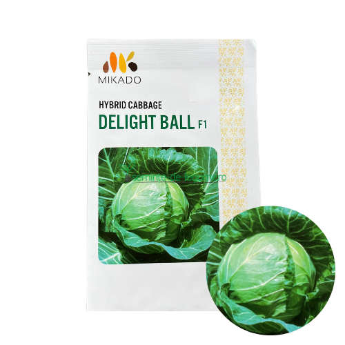 Varza Delight Ball F1 5 gr - Mikado - seminte-de-legume.ro