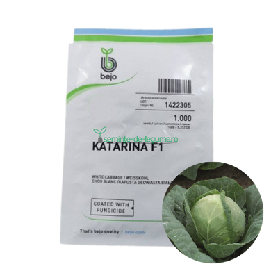 Varza Katarina F1 1000 seminte - Bejo - seminte-de-legume.ro