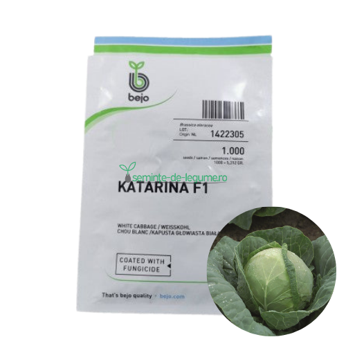 Varza Katarina F1 1000 seminte - Bejo - seminte-de-legume.ro