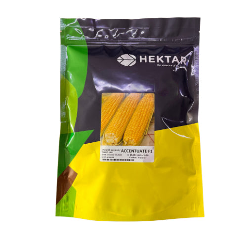 Porumb zaharat Accentuate F1 2500 seminte - Hektar - seminte-de-legume.ro