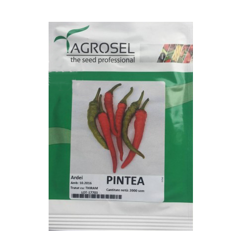 Ardei iute Pintea 2000 seminte - Agrosel - seminte-de-legume.ro