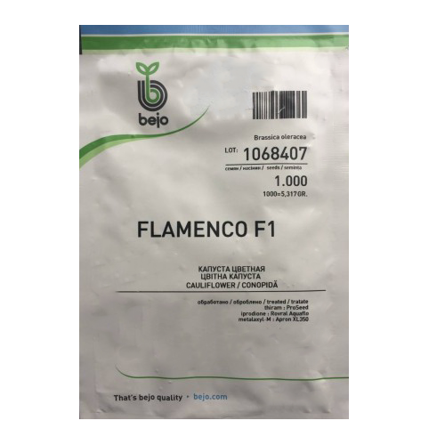 Conopida Flamenco F1 1000 seminte - Bejo - seminte-de-legume.ro