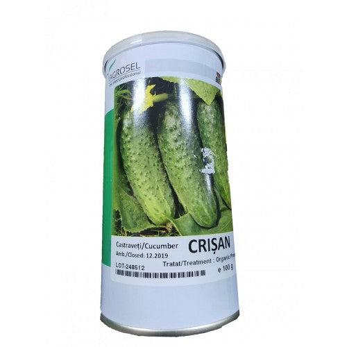 Castraveti Crisan 100 gr - Agrosel - seminte-de-legume.ro