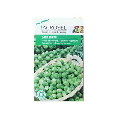 Varza Long Island 3 gr - Agrosel - seminte-de-legume.ro